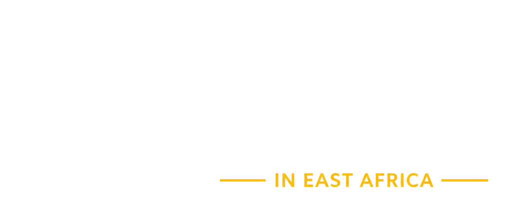 SHAPE — Smart City Higher Education Advancement Programme in East Africa